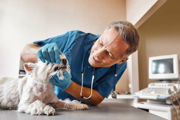 Best After-Hours Dental Trauma Care in Panama, OK